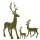 Hirsch Jaques M