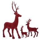 Hirsch Jaques M