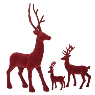 Hirsch Jaques L