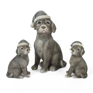 Hund Lumpi assortiert