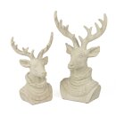 PD Hirschb&uuml;ste Charlie L