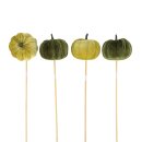 Kürbistecker 35cm assortiert
