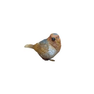 Vogel Robin S assortiert