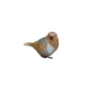Vogel Robin S assortiert