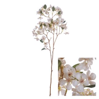 Bl&uuml;tenstiel Apfelbl&uuml;te