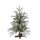 Trondheimer Fichten-Minibaum 30LED 60cm