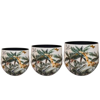 Topf Satz von 3 Safari dream