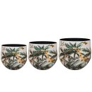 Topf Satz von 3 Safari dream