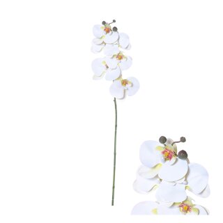 Blütenstiel Orchidee 80cm