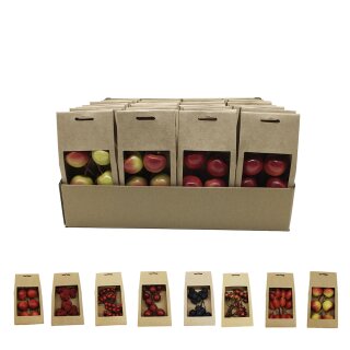 Dekofr&uuml;chte Display 8er assortiert