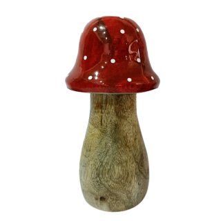 Fliegenpilz Moshia