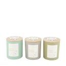 Duftkerze Vanille assortiert