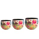 Topf Satz von 3 Dutch beauty spring