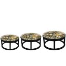 Stand Satz von 3 Safari dream