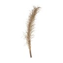 Cacho Ingasso 90–120 cm