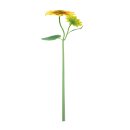 Metallsonnenblume Sonflora