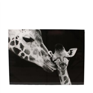 Bild Giraffenliebe
