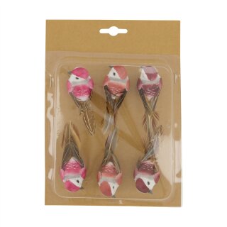 Vogelset 6Stk Vertigo