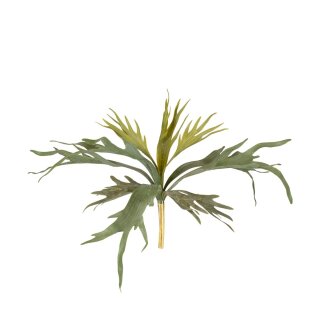 Zweig Platycerium k&uuml;nstlich