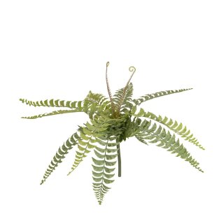 K&uuml;nstlicher Zweigfarn