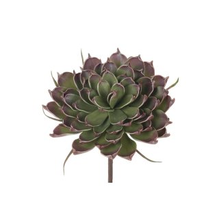 Echeveria medium flower  23cm 1pc foam