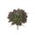 Echeveria medium flower  23cm 1pc foam