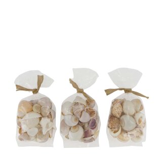 Schalenmischung natur assortiert