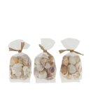 Schalenmischung natur assortiert