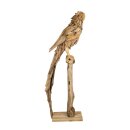 Statue Papagei Avis tropica XXL