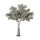 Raumdeko Olivenbaum XXXL
