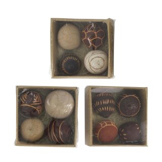 Exotische Mischung 4Stk Bellaini assortiert