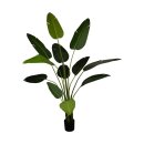 Pflanze Strelitzia k&uuml;nstlich