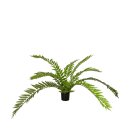 Pflanzenfarn k&uuml;nstliche