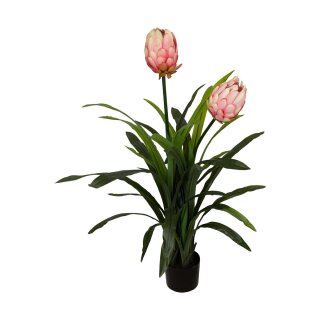 Protea k&uuml;nstlich