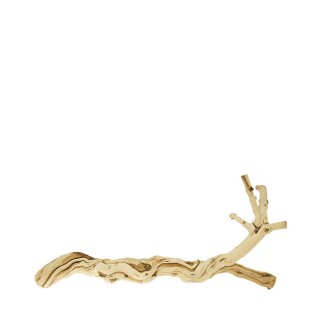 Zweig Geissblattholz