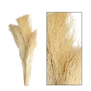 Palm jhat 30-55cm 3 St&uuml;ck