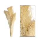 Palm jhat 30-55cm 3 St&uuml;ck