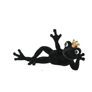 Froschk&ouml;nig Diego