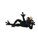 Froschk&ouml;nig Diego