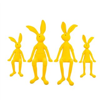 Hase Lotte oder Leo S