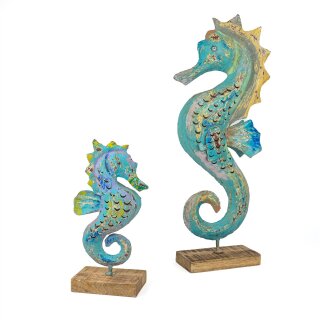 Seepferdchen Sisqeez auf Base