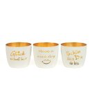 Metall-Windlicht Whiterush assortiert