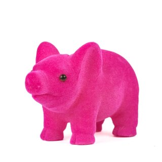 Ferkel Lucky