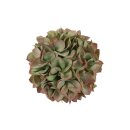 Eukalyptus Kunstkugel S