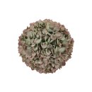 Eukalyptus Kunstkugel L