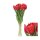 Blumenstrauss Tulpe 7St&uuml;ck