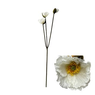 Blumenst&auml;ngelmohn