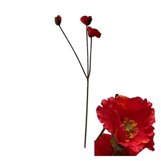 Blumenst&auml;ngelmohn