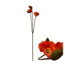 Blumenstängelmohn
