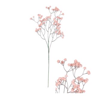 Bl&uuml;tenstiel Gypsophila